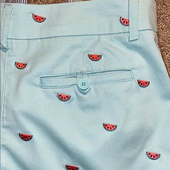 🍉🍉Cambridge Dry Goods watermelon shorts size 8. *Shorts only * - Picture 8 of 10